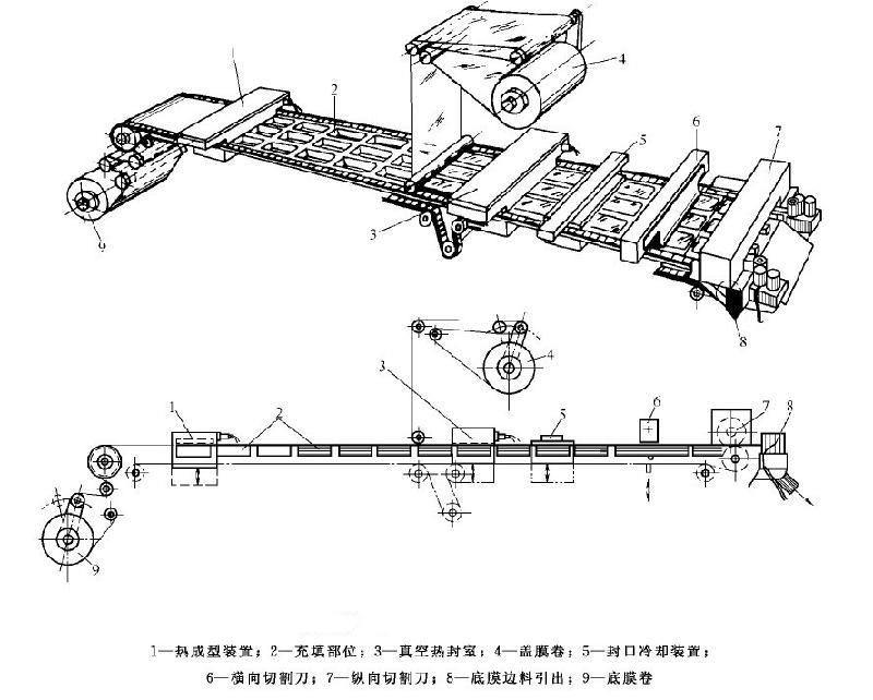 步进式大容器热成型包装机